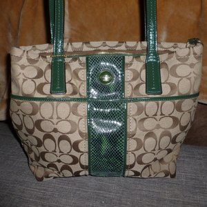 Coach Signature Kaki with Green Python Stripe